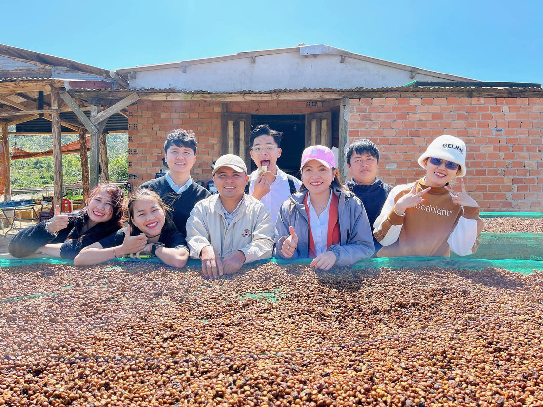 Coffee tour & workshop at Theorganikcoffee farm – Di Linh, Lâm Đồng