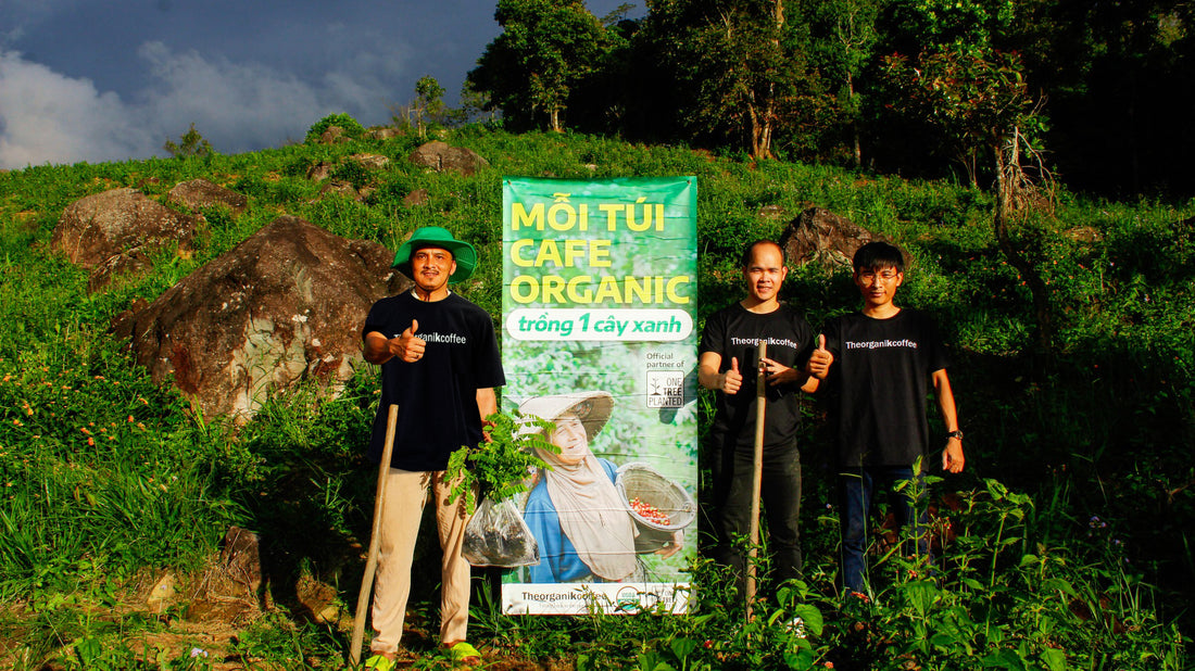 5000 Coffee Trees from TheorganiKcoffee ‘One Tree for Every Bag’ in 2023