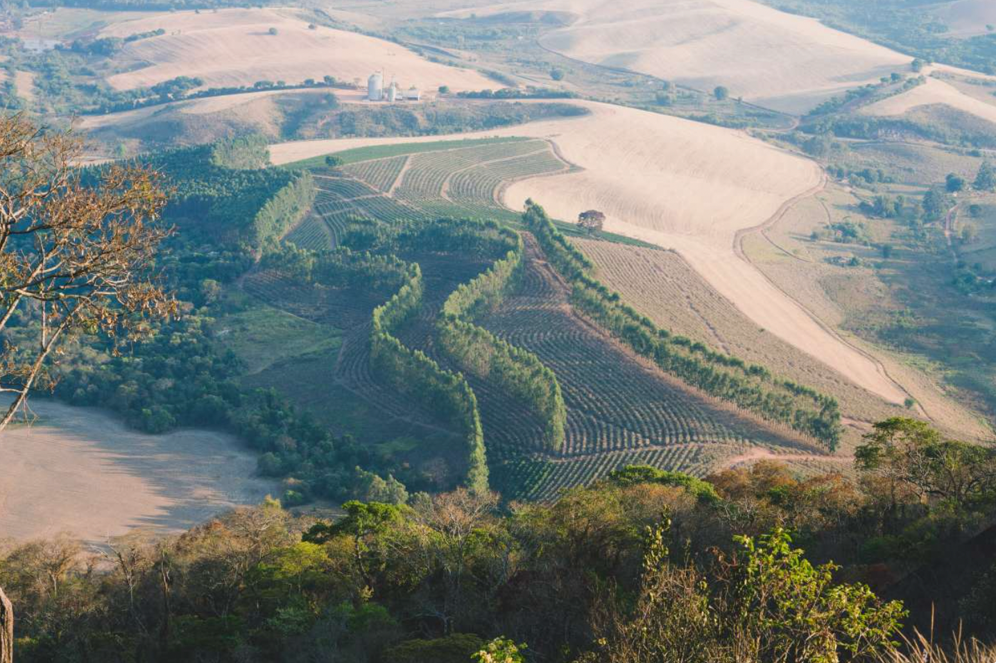 The Meaning of "Organic" Certification