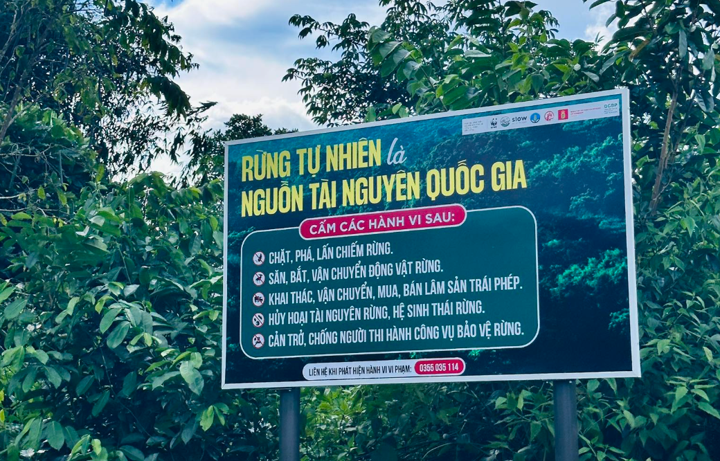 Guardians of the Forest: The Van Kieu People and the Endless Green of Truong Son