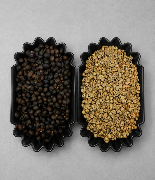 ORGANIC COFFEE (FULLY-WASHED PROCESS)